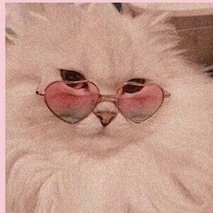 Meet your Posher, Nevaeh